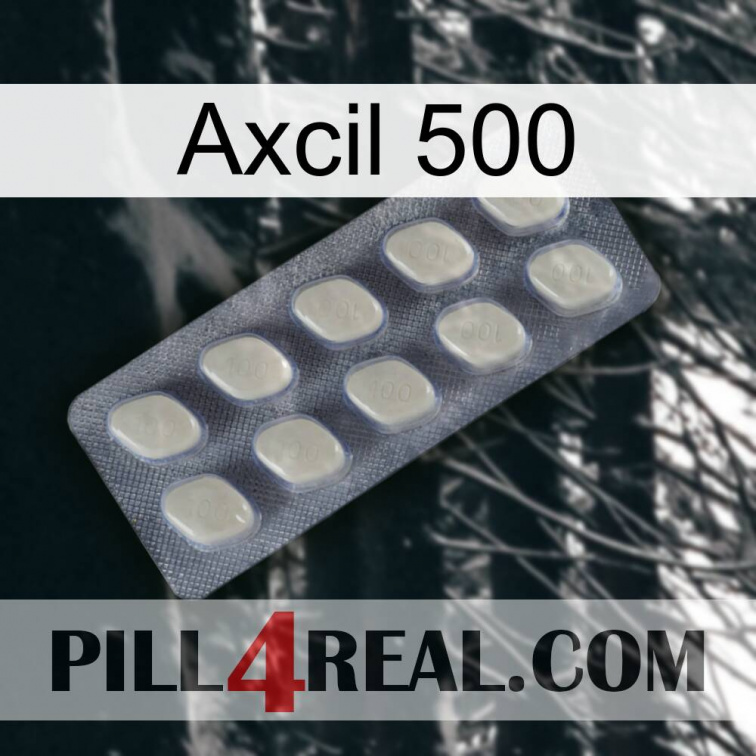 Axcil 500 08